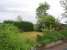 jardin vu de la terrasse